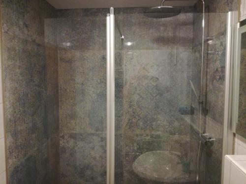 eine Dusche mit Glastür im Bad in der Unterkunft FeWo Thul in Plein