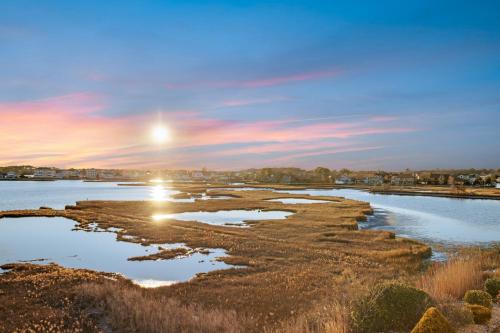 Mallard Cove – Photos 3