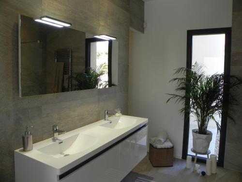 La salle de bains est pourvue d'un lavabo, d'un miroir et d'une plante. dans l'établissement Là Mésange de Venasque, à Venasque