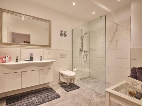 a bathroom with a sink and a toilet and a shower at Loft am Schluchsee in Schluchsee