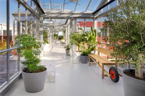 uma estufa com vasos de plantas e um banco nela em Zoku Copenhagen em Copenhague