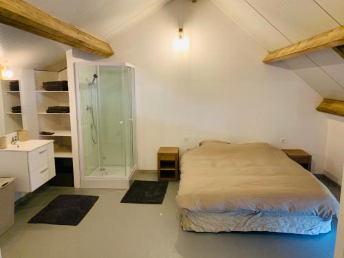 a bedroom with a bed and a glass shower at MMGhome in Frasnes-lez-Anvaing