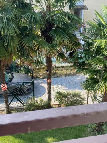 a view of a palm tree in a yard at CASA ROMAN ITALIA, Center Sacile in Sacile