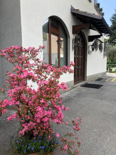 a bush of pink flowers in front of a building at Liza's Suite's - Room's with a View in Sala Comacina