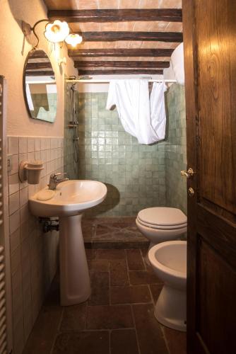 a bathroom with a sink and a toilet and a mirror at Agriturismo Frantoio Valiani in Cortona