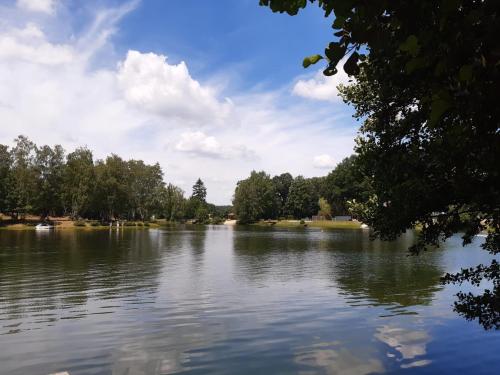 una vista de un gran lago con árboles en el fondo en Ferienwohnung im Teutoburger Wald / Münsterland - Versmold - Gütersloh -Bielefeld - Münster, en Versmold