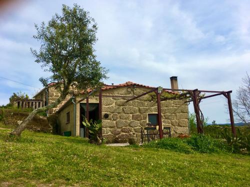 an old stone house in a field with a tree at Quinta do Sobral de São Geraldo in São Geraldo