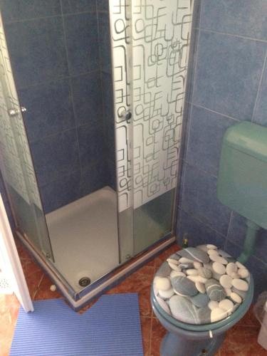 een badkamer met een douche, een toilet en een tapijt bij Holiday home - Beach house 'Amarella' in Turanj