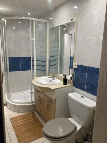 een badkamer met een toilet, een wastafel en een douche bij Studio Aix les Bains entre centre-ville et lac in Aix-les-Bains
