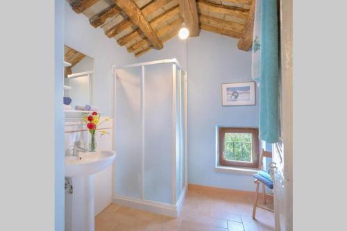 ein Bad mit einer Dusche und einem Waschbecken in der Unterkunft La Casina Rossa in Borgo Pace