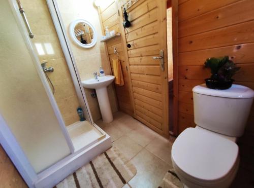 Bathroom sa The Cosy Mountain Cabin with Stunning Views near Troodos