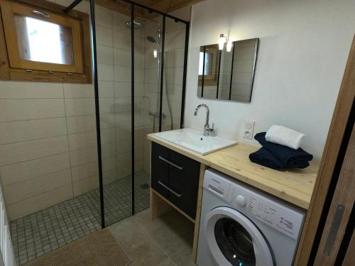 Un baño con lavabo y lavadora. en Petit Chalet Montagne, en Briançon