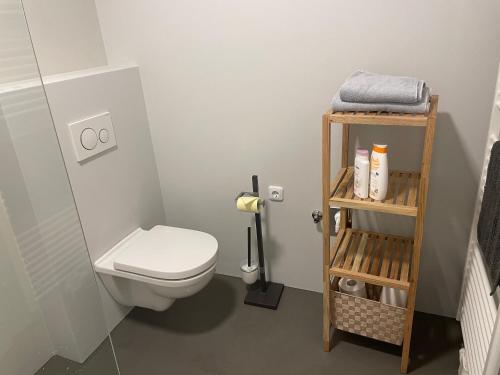 a bathroom with a toilet and a shelf with towels at Skyloft Apartment Feldkirch in Feldkirch
