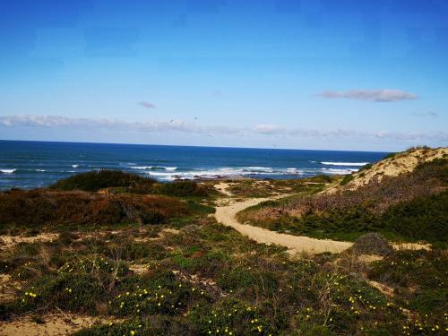 a path leading to the ocean on a beach at Pine 3 Inn, holiday home, activities and more in Boavista dos Pinheiros
