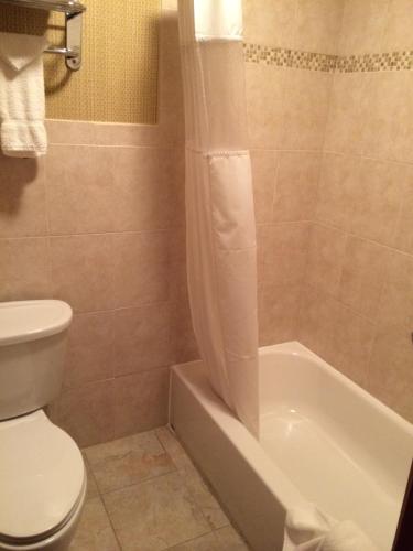 a bathroom with a toilet and a tub and a sink at Pacer Inn & Suites Motel in Delaware