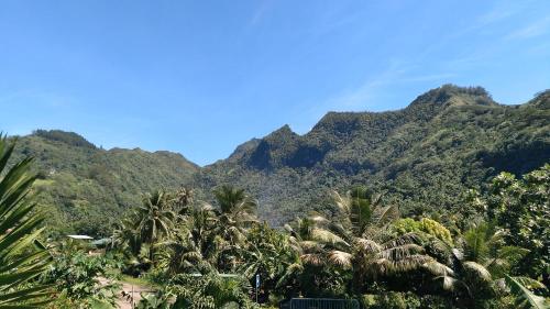 a view of a mountain with palm trees and mountains at Bungalow les pieds ds l eau, La Maison Bleue in Moorea