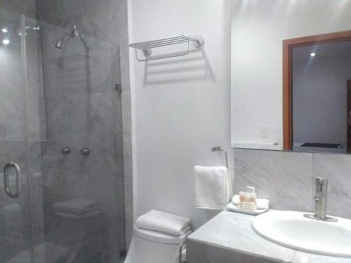 a bathroom with a shower and a toilet and a sink at Hotel MAC7 in Aguascalientes