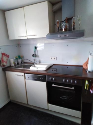Kuchyň nebo kuchyňský kout v ubytování Ferienwohnung mit kleinem Garten