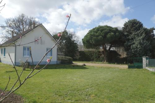 a white house with a tree in the yard at Les Bruyères de Jeanne et René Zoo de Beauval à 20min,Châteaux TOUT INCLUS in Fontguenand