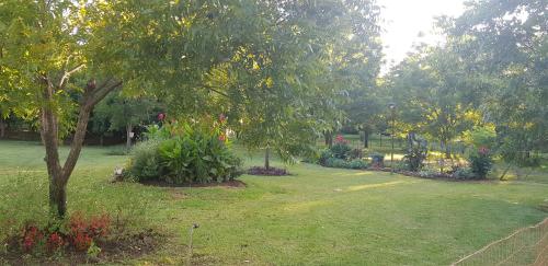 a garden with flowers and trees in a park at Millstream Inn guest house in Skeerpoort