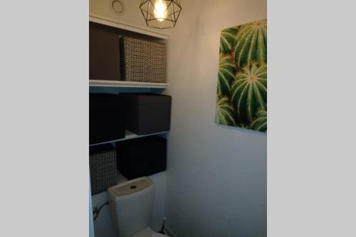 uma casa de banho com WC e uma pintura na parede em Coquet Rez jardin plage parking wifi em Saint-Mandrier-sur-Mer