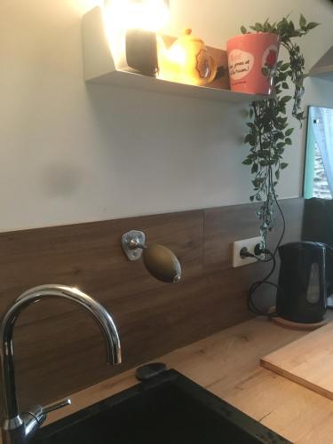 un comptoir de cuisine avec un évier et une plante sur une étagère dans l'établissement La Petite Adresse de Rose Maison de vacances Entrée autonome, à Le Poujol-sur-Orb