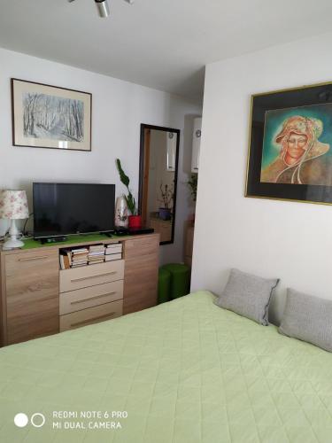 a bedroom with a bed and a flat screen tv at Seosko turističko domaćinstvo MILKA in Čačak