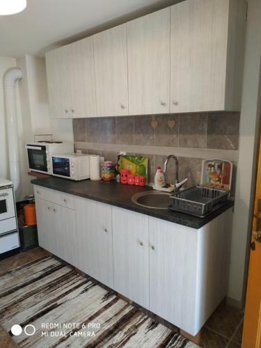 a kitchen counter with a sink and a microwave at Seosko turističko domaćinstvo MILKA in Čačak