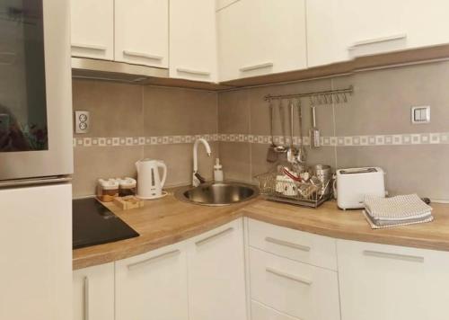 a kitchen with a sink and a counter top at Marco’s home in Vračar (historical)