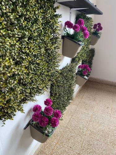 a wall with potted plants and flowers on it at HOTEL BOUTIQUE SONNE BALOP Valledupar in Valledupar