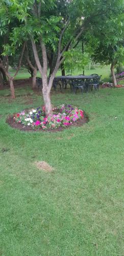 a park with a tree and flowers in the grass at Millstream Inn guest house in Skeerpoort