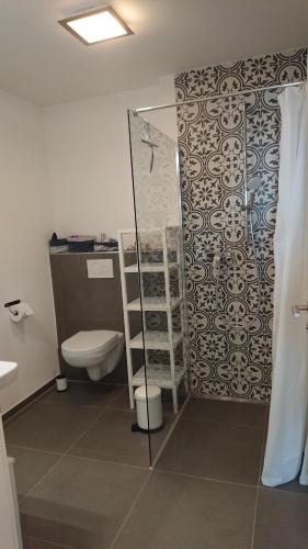 a bathroom with a toilet and a shower at Pura Vida - Allgäu in Bad Wurzach