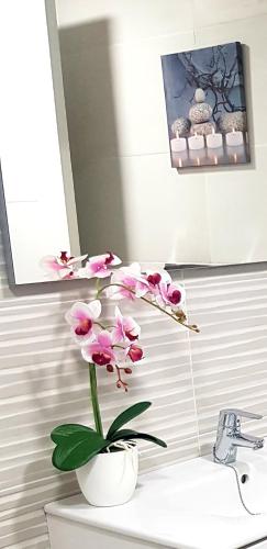 Loft Apartamento Sevilla 16