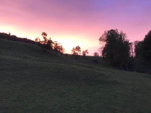 a sunset on a field with trees on a hill at Pension Ober in Siegsdorf