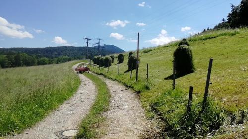 a dirt road in the middle of a field at Pension Ober in Siegsdorf
