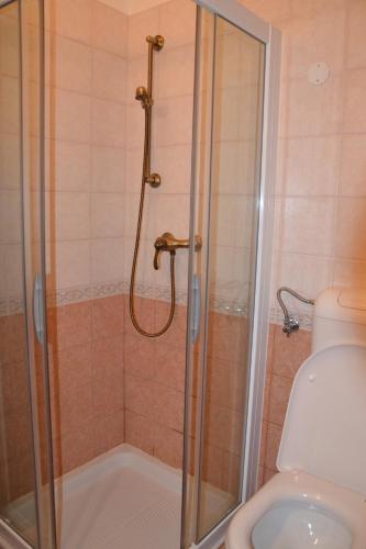 a shower with a glass door next to a toilet at Pri Marjotu in Kojsko