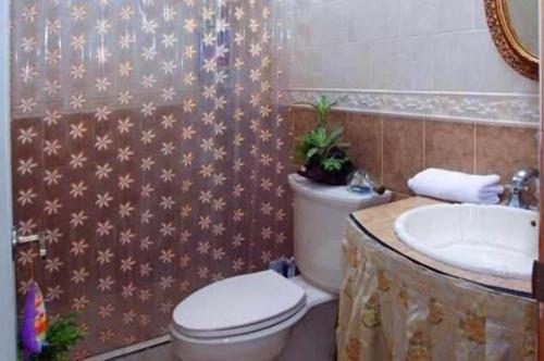 La salle de bains est pourvue de toilettes et d'un lavabo. dans l'établissement Villa de las Palmas de Rozo Palmira, à Rozo