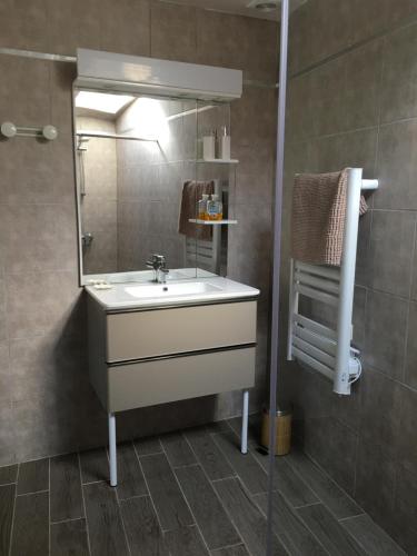 a bathroom with a sink and a mirror at Gites Jardin-darcy - Piscine au sel in Bois