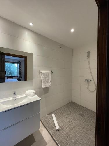 une salle de bain avec un lavabo et une douche dans l'établissement Résidence Casa Favalella, à Porto Pollo