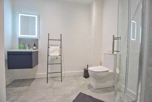 uma casa de banho com um WC e um lavatório em Coastal Links em Portrush