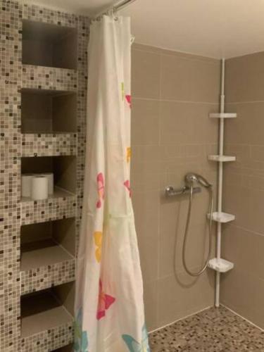 une douche avec un rideau de douche dans une salle de bain dans l'établissement Centre Historique de Fréjus - face à la mairie, à Fréjus