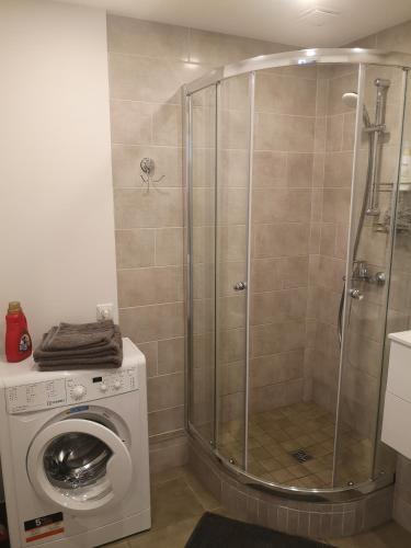 a shower stall in a bathroom with a washing machine at Parko apartamentai in Panevėžys