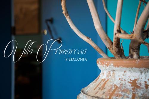 a vase with a plant in it at Villa Primarosa in Metaxáta