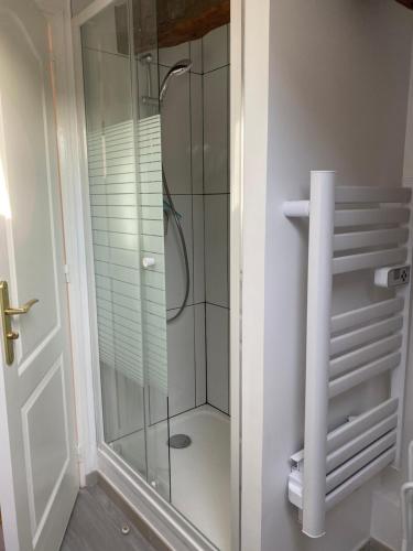 a shower with a glass door in a bathroom at Le logis de l'Epte in Saint-Clair-sur-Epte