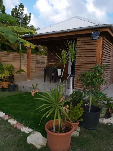 a garden with plants in front of a cabin at An Ti Kaz La in Sainte-Anne