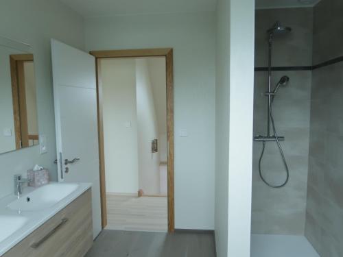een badkamer met een douche en een wastafel bij Logement douillet neuf L'INDIAN in Dossenheim-sur-Zinsel