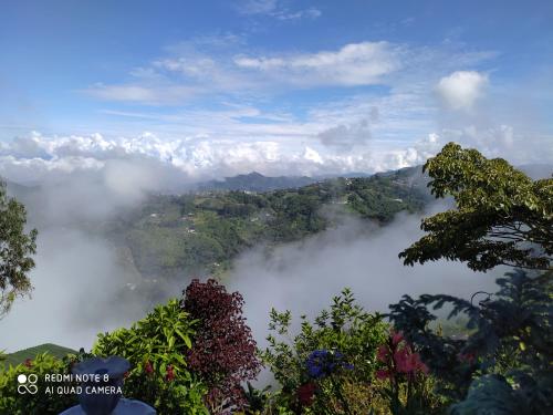 a view of a misty valley in the mountains at Mirador Finca Morrogacho in Manizales