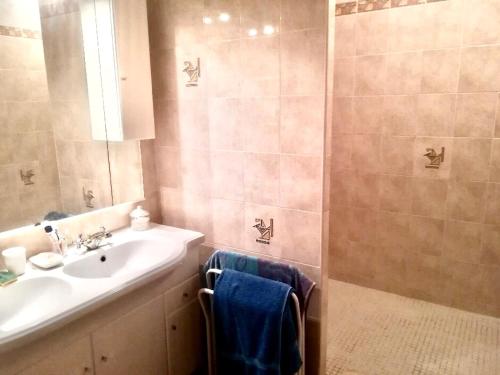La salle de bains est pourvue d'un lavabo et d'une douche. dans l'établissement Gîte de Leni - Maison avec piscine, à Torreilles