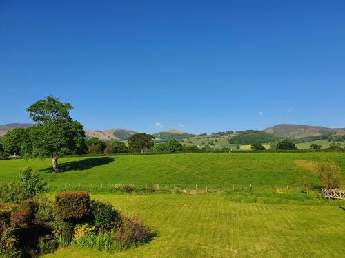 a green field with a tree and mountains in the background at Curlew's Nest in Ruthin