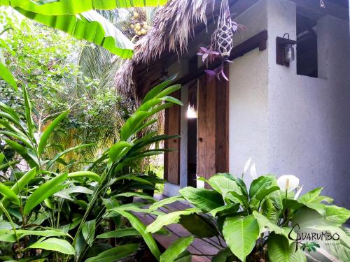 an entrance to a building with plants in front of it at Guarumbo in Bacalar